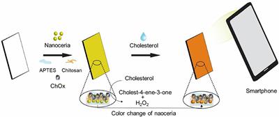 Reagent-Free Colorimetric Cholesterol Test Strip Based on Self Color-Changing Property of Nanoceria